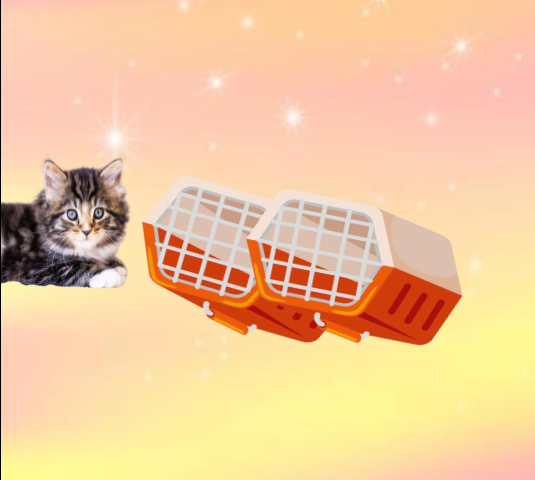 Escape From The Cage